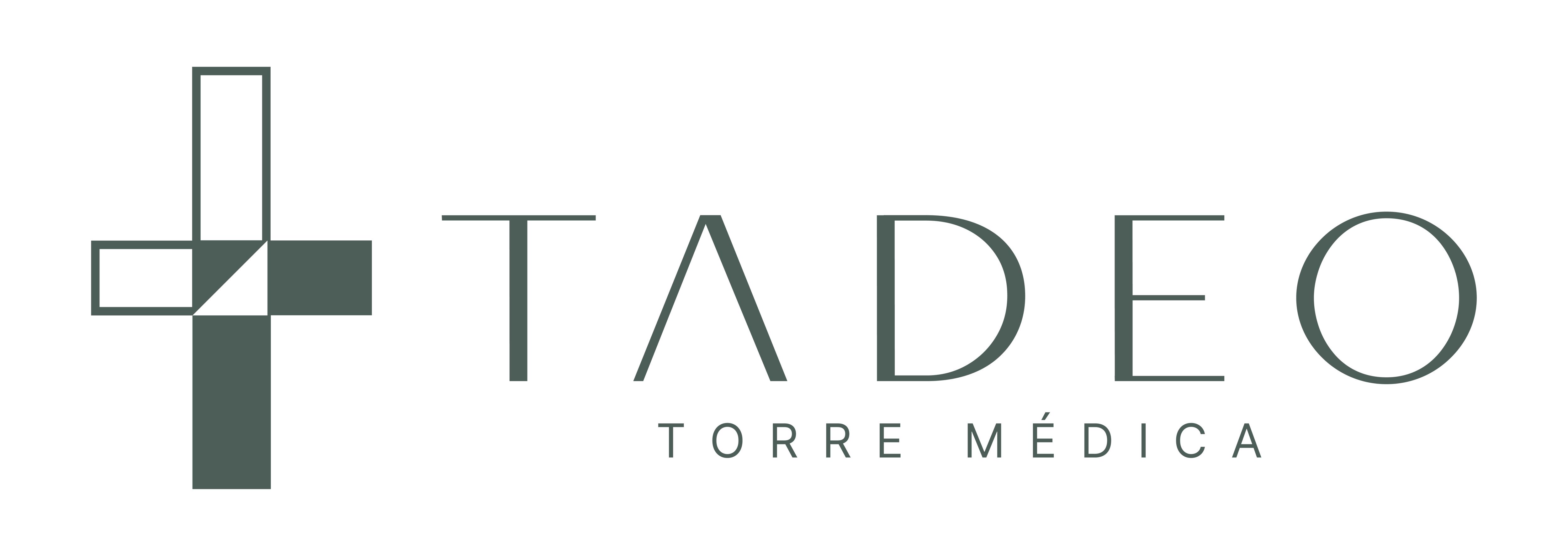 LOGO TADEO LOGO TADEO